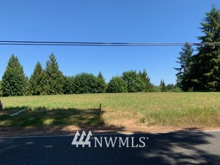 146 Satsop Road East Elma, WA 98541 - Photo 2 of 5 Gallery Image 2