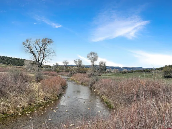 a view of lake with green space
