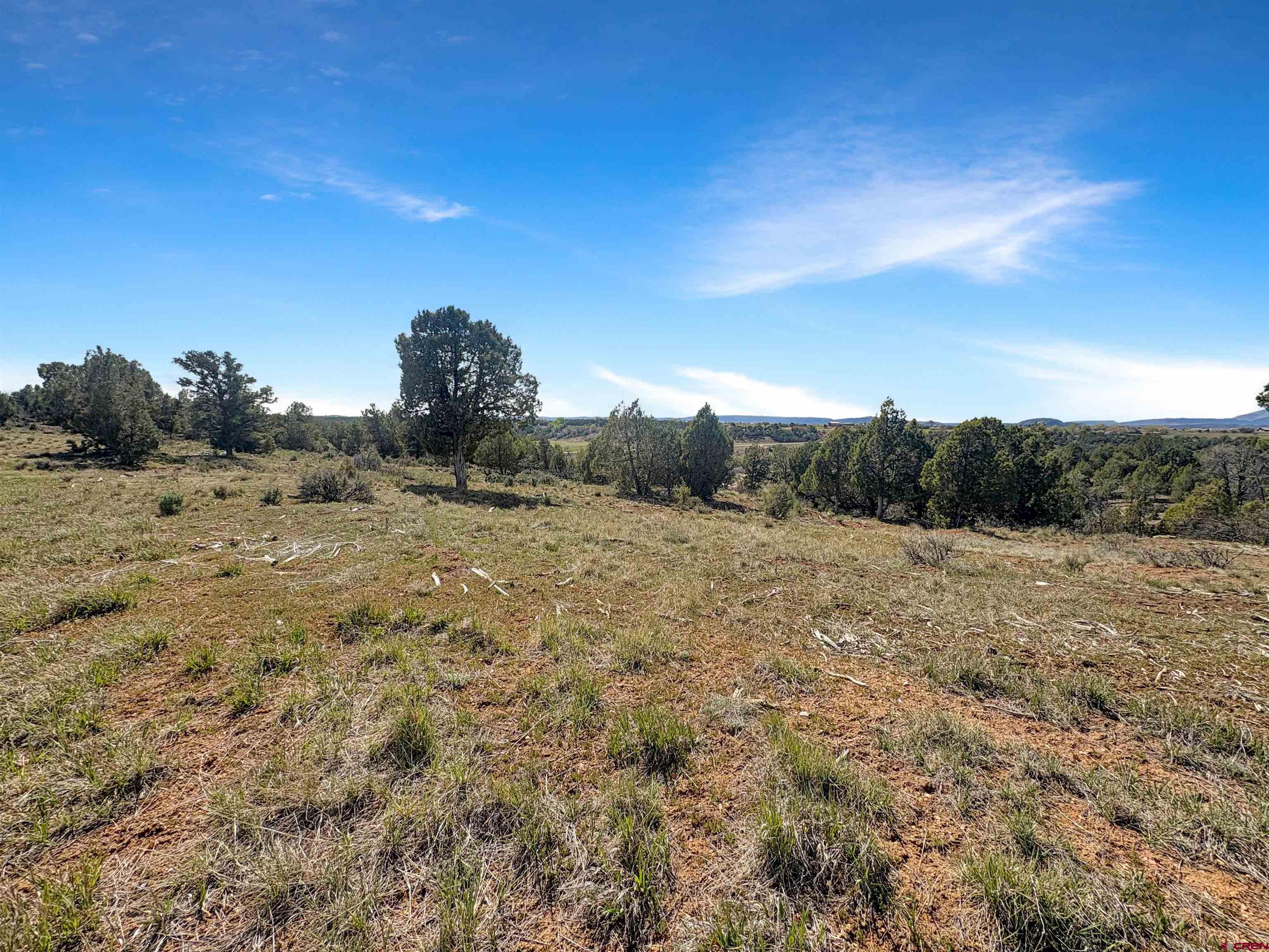 231 Bareback Lane Durango, CO 81303 - Photo 12 of 30 a view of a dry yard with trees