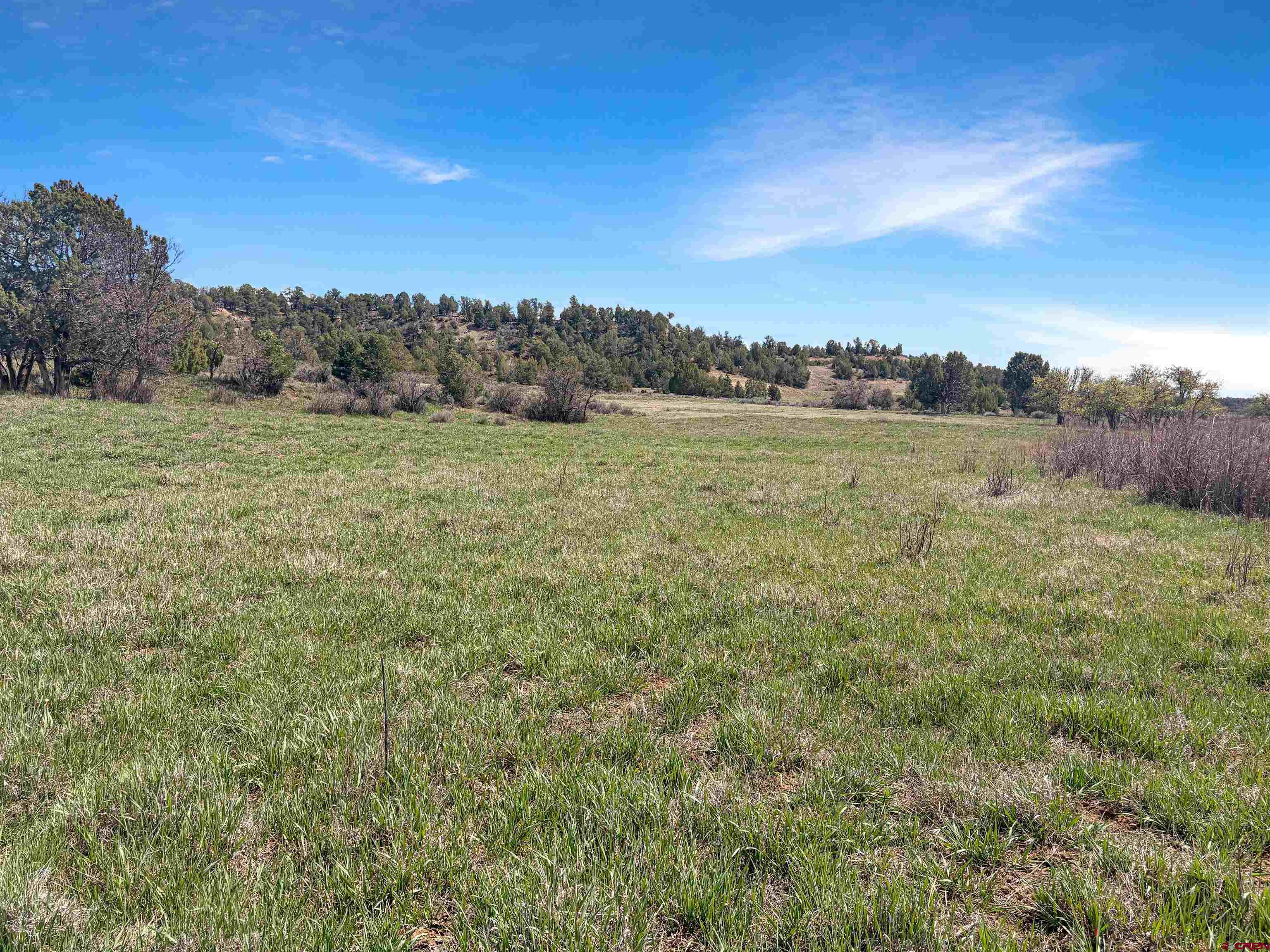 231 Bareback Lane Durango, CO 81303 - Photo 13 of 30 a view of an outdoor space and a yard