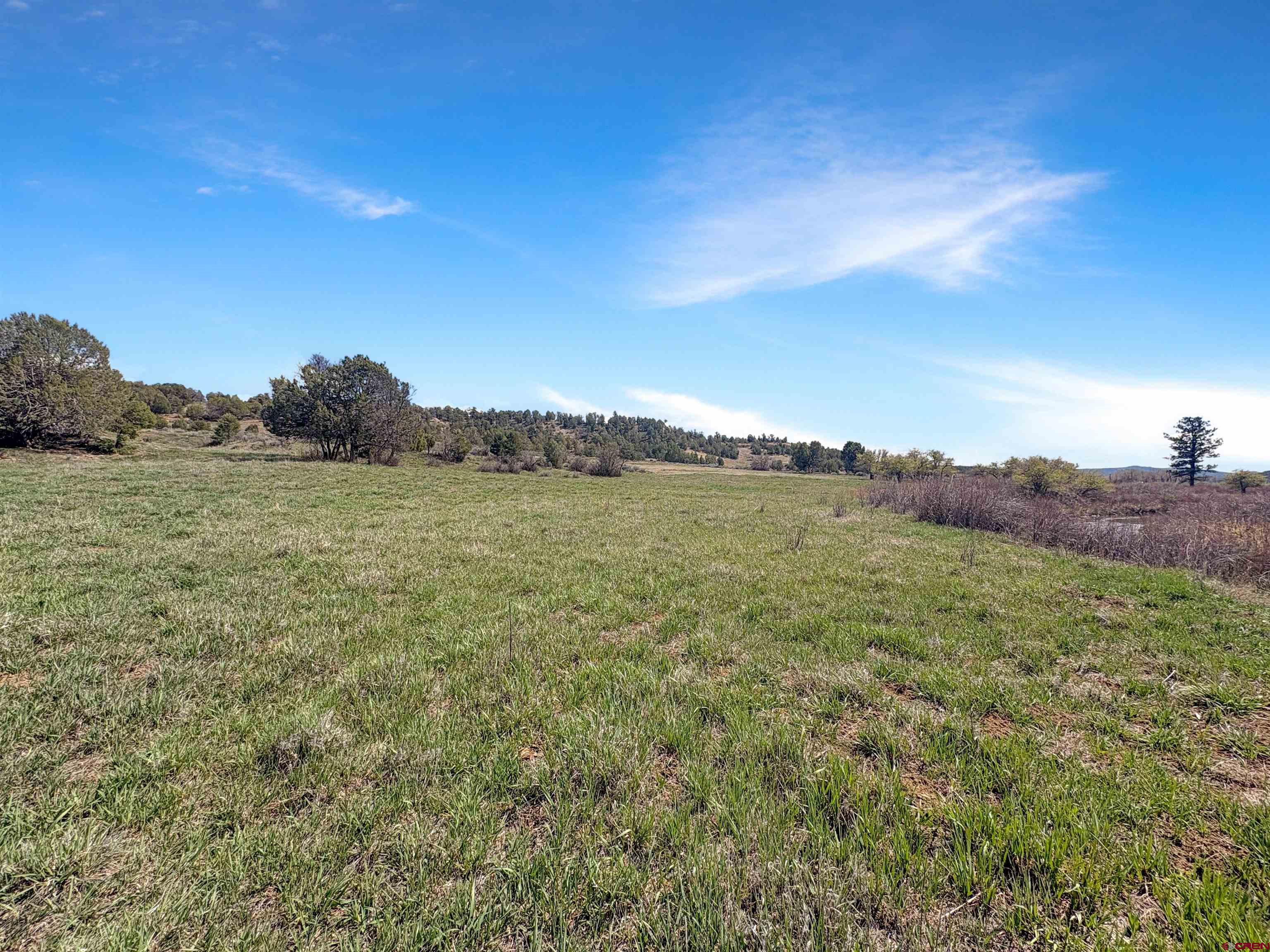 231 Bareback Lane Durango, CO 81303 - Photo 14 of 30 a view of a field with an ocean
