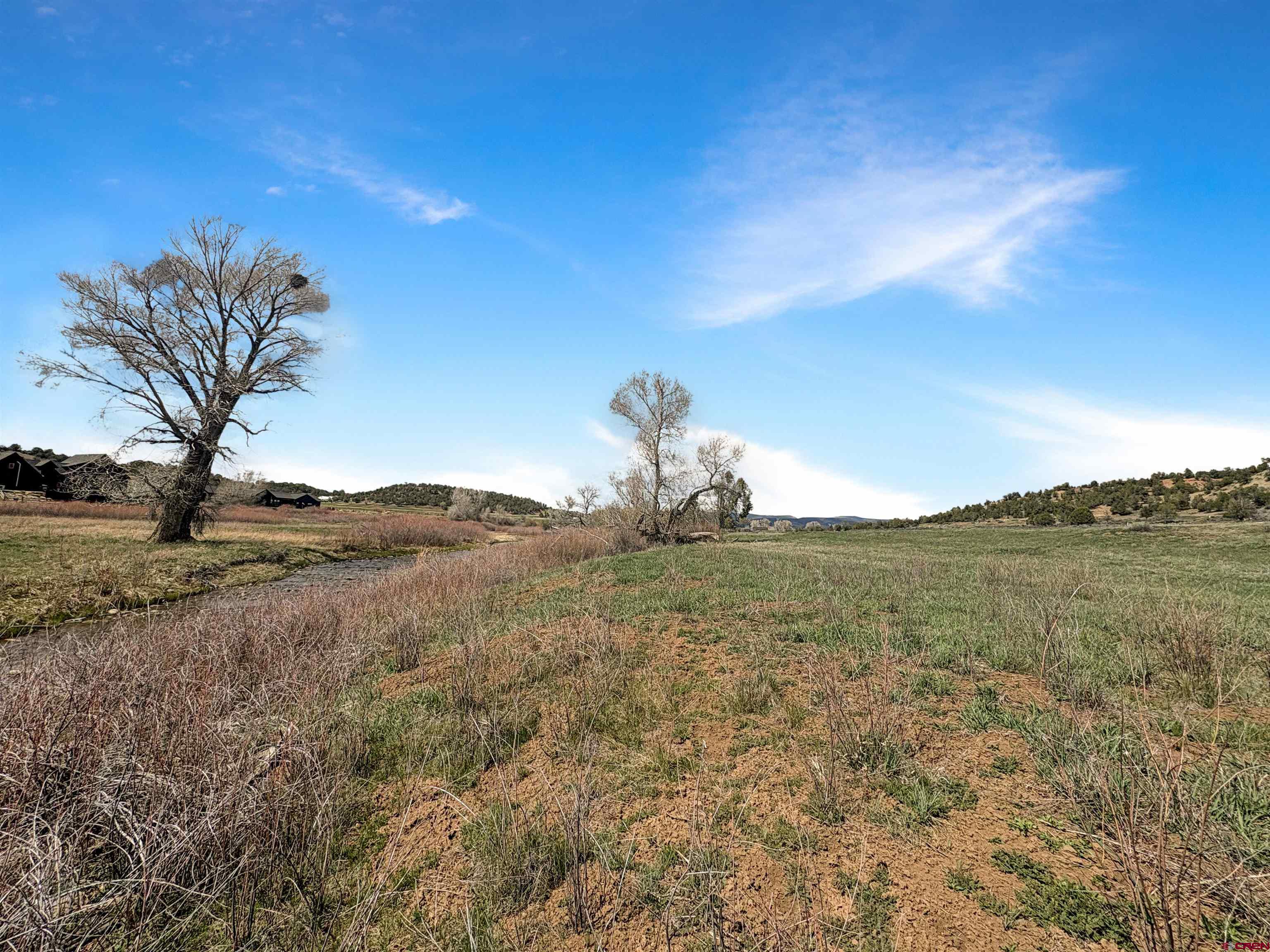 231 Bareback Lane Durango, CO 81303 - Photo 15 of 30 a view of a dry yard with trees