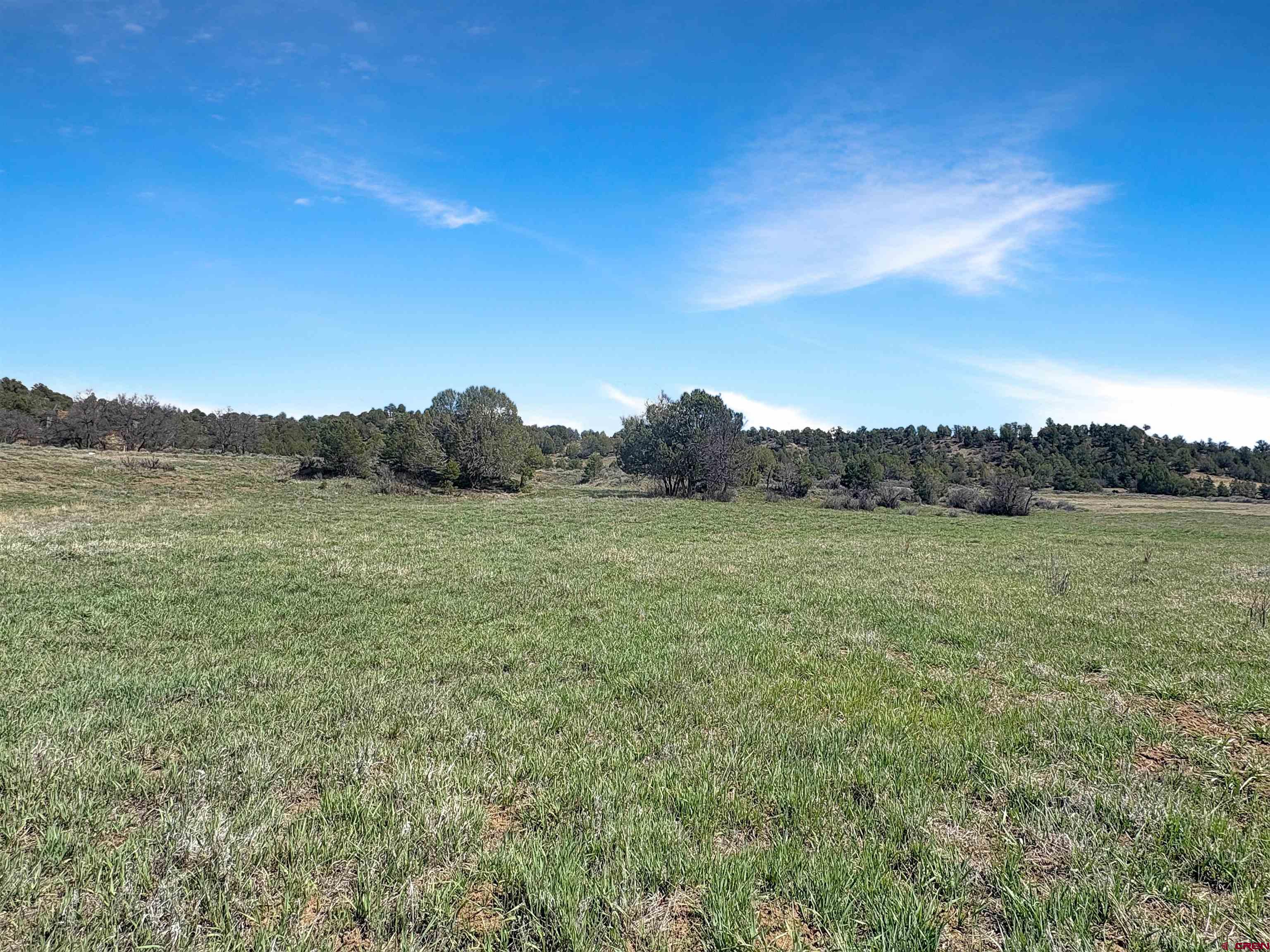 231 Bareback Lane Durango, CO 81303 - Photo 16 of 30 a view of a field with an ocean view