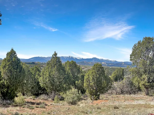 a view of a forest with mountains in the background