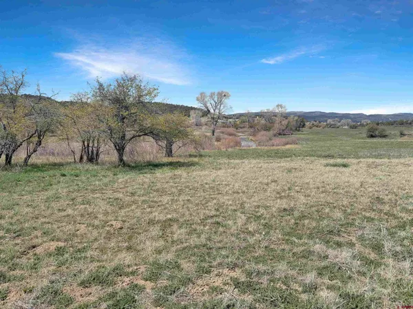 a view of a field with an ocean