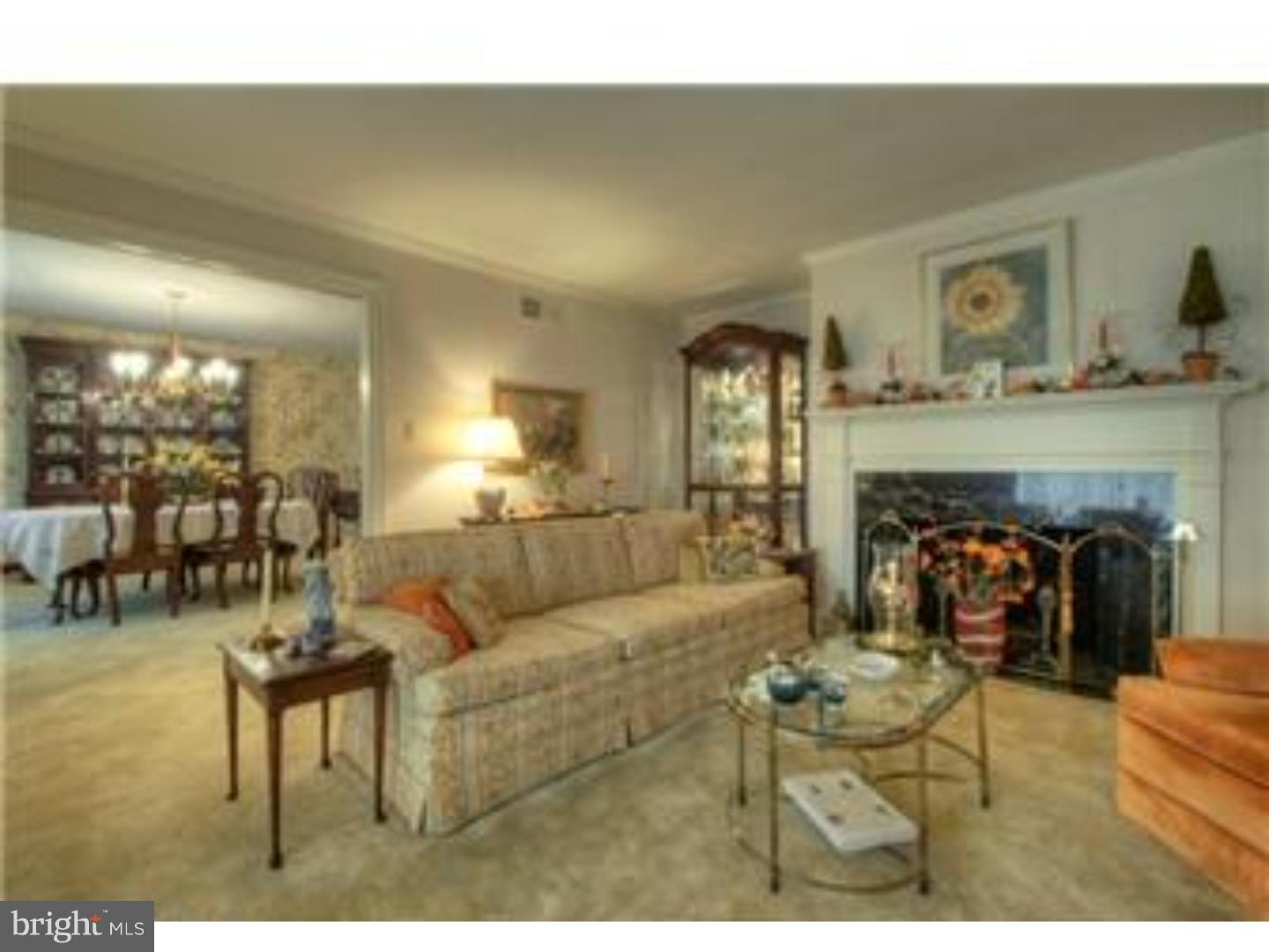230 Wegman Road Reading, PA 19606 - Photo 8 of 25 a living room with furniture and a fireplace