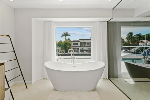 a view of a yard with plants