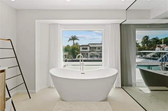 a view of a yard with plants