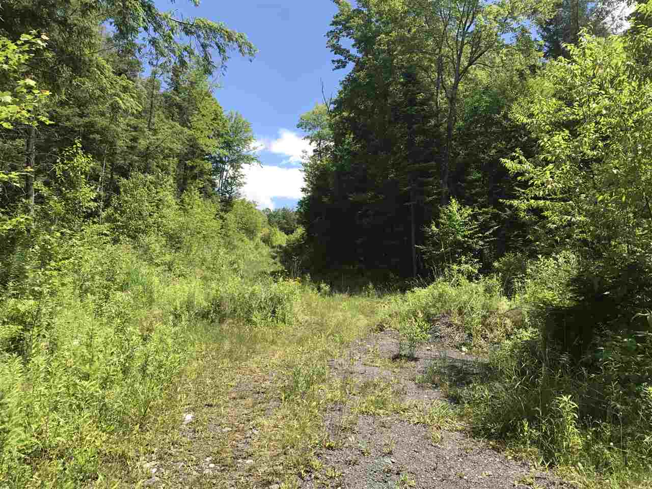Lot 6 Vance Road Corinth, VT 05039 - Photo 1 of 1
