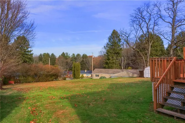 a view of large trees with a big yard
