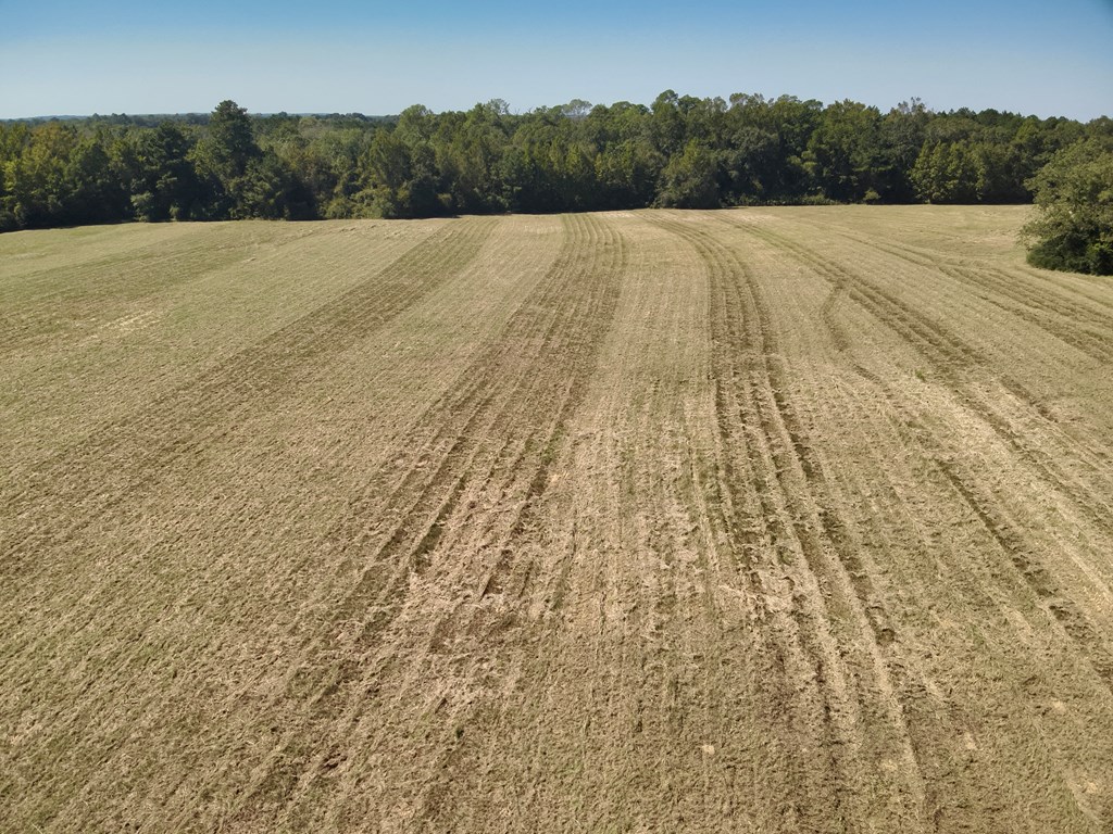 5.78-acres Cora Powell Road Samson, AL 36477 - Photo 9 of 10