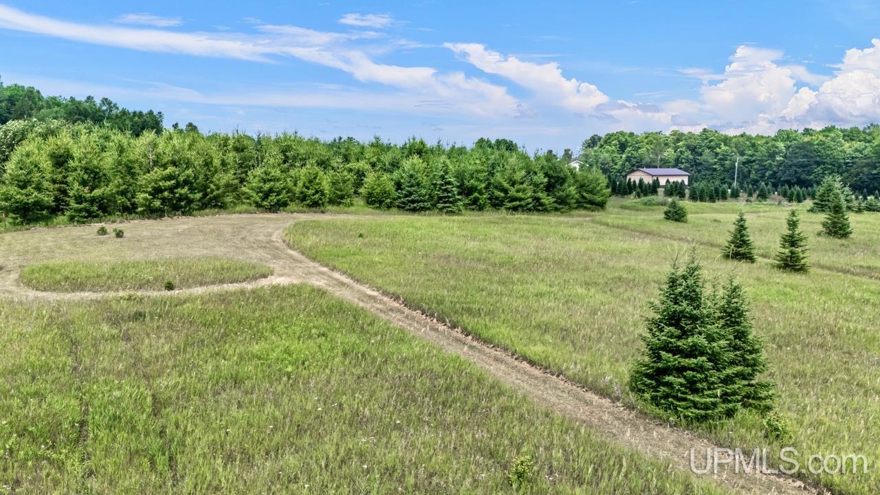Tbd East Tbd E Labelle Road Powers, MI 49874 - Photo 9 of 11