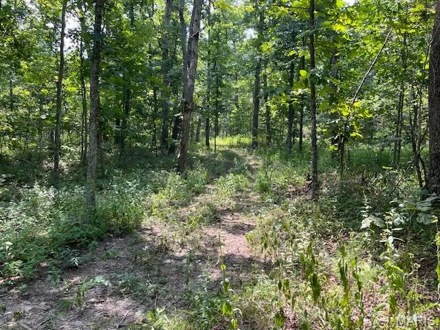 $174,000 | 29-acres Elk Head Road, Bland, MO 65014