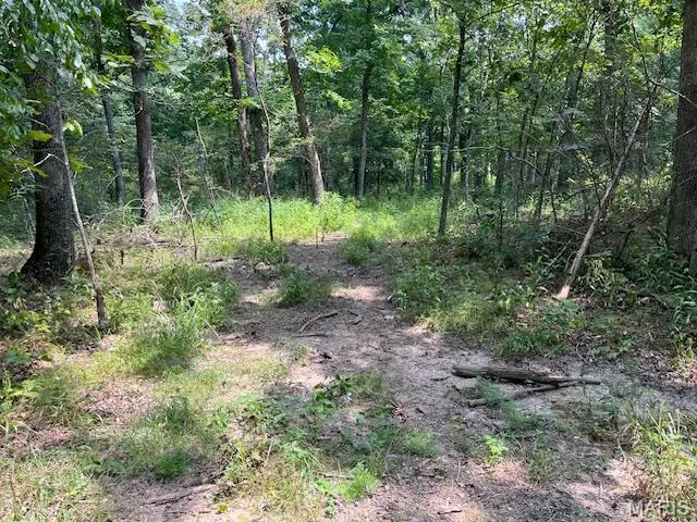 $174,000 | 29-acres Elk Head Road, Bland, MO 65014