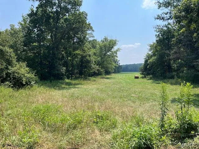 $174,000 | 29-acres Elk Head Road, Bland, MO 65014
