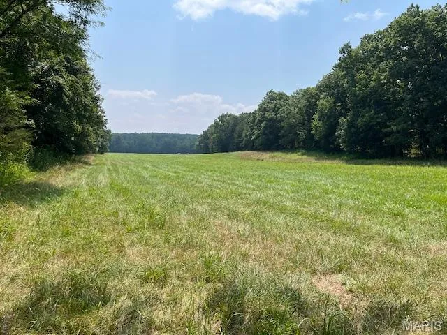 $174,000 | 29-acres Elk Head Road, Bland, MO 65014