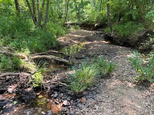 $174,000 | 29-acres Elk Head Road, Bland, MO 65014