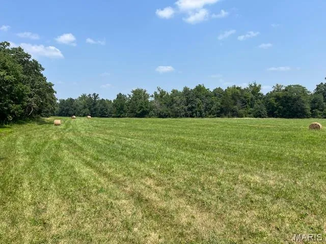 $174,000 | 29-acres Elk Head Road, Bland, MO 65014