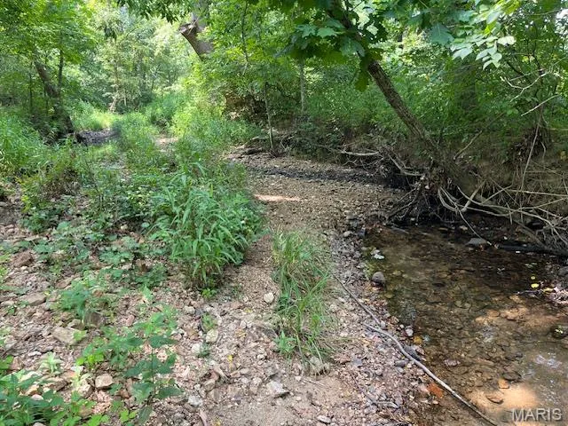 $174,000 | 29-acres Elk Head Road, Bland, MO 65014