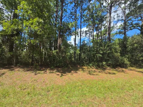 $42,000 | 0 Southwest 81st Terrace, Ocala, FL 34473