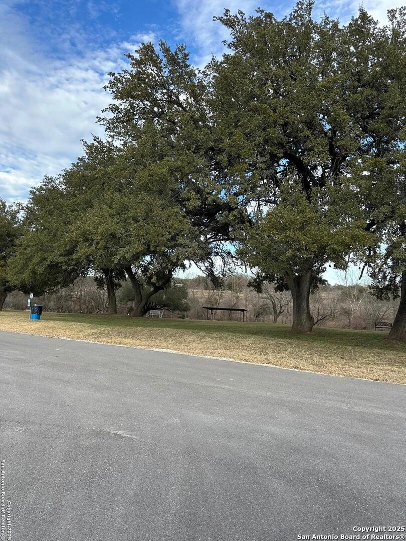 4300 Highway 16, Unit 29 Bandera, TX 78003 - Photo 4 of 10 a view of a yard with a tree