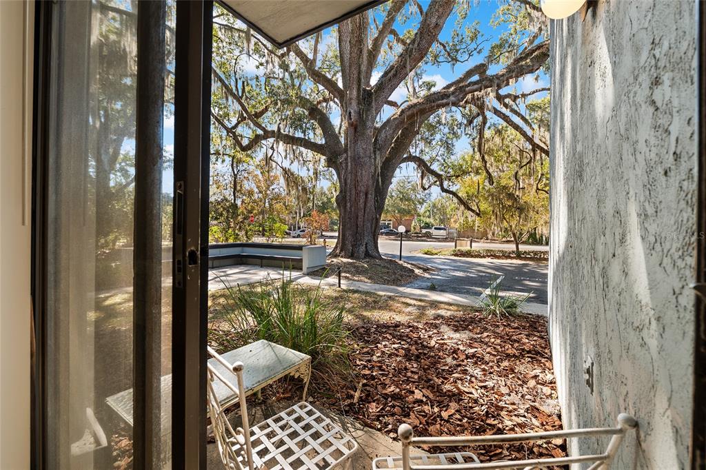 401 Northwest 39th Road, Unit 401C Gainesville, FL 32607 - Photo 32 of 62