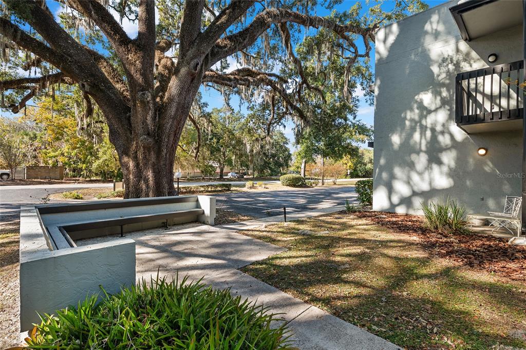 401 Northwest 39th Road, Unit 401C Gainesville, FL 32607 - Photo 35 of 62 a view of outdoor space with trees