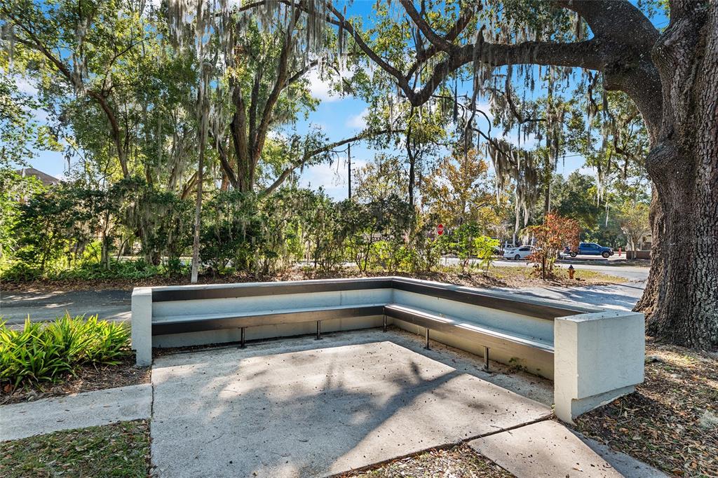 401 Northwest 39th Road, Unit 401C Gainesville, FL 32607 - Photo 36 of 62 a view of backyard with large trees and a bench
