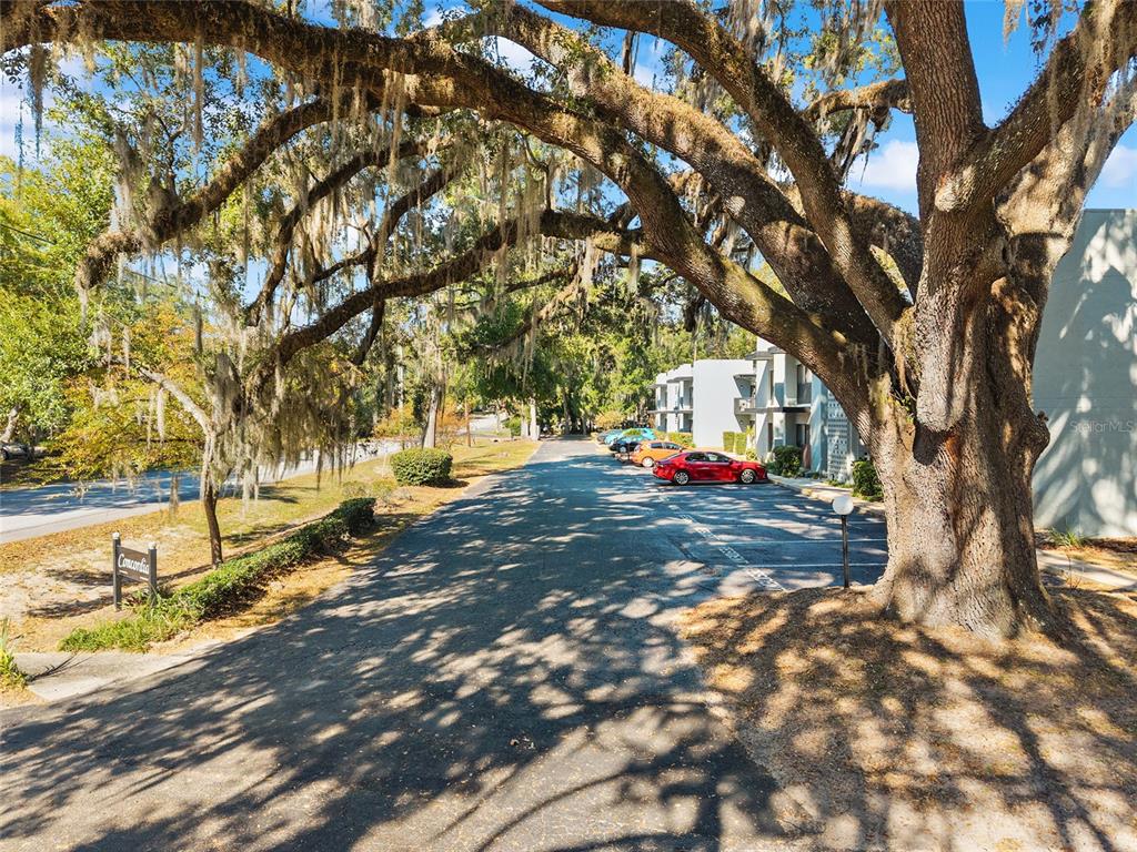 401 Northwest 39th Road, Unit 401C Gainesville, FL 32607 - Photo 46 of 62 a view of yard with tree s