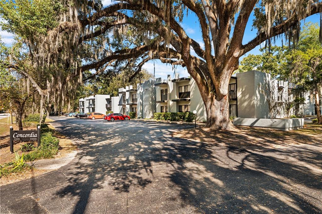 401 Northwest 39th Road, Unit 401C Gainesville, FL 32607 - Photo 47 of 62 a view of road with large trees