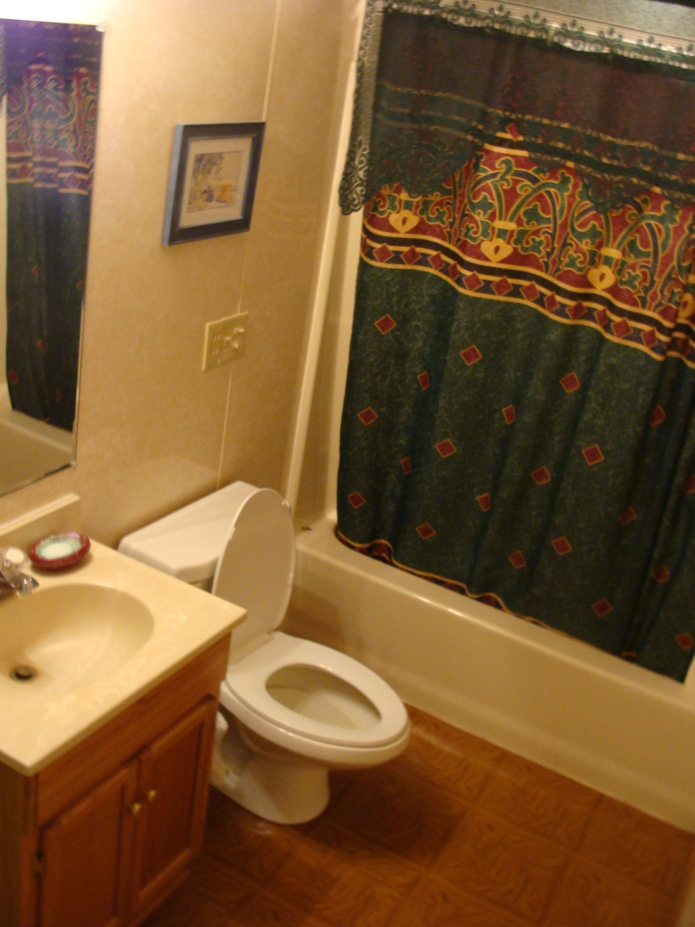 2677 White House Road Moneta, VA 24121 - Photo 21 of 30 LL Bathroom