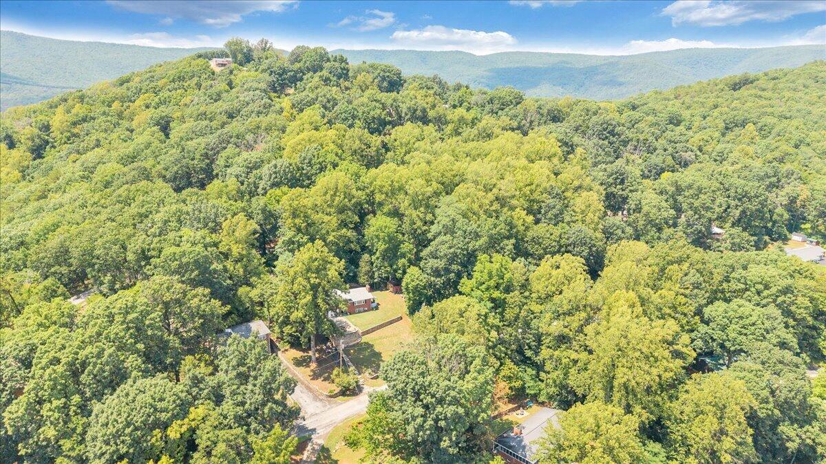 731 Eddies Road Salem, VA 24153 - Photo 42 of 48 Feel on top of the world