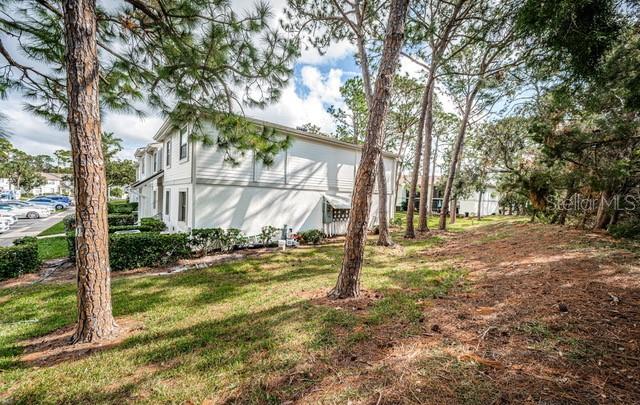 416 Meadow Lane, Unit 416 Oldsmar, FL 34677 - Photo 3 of 48