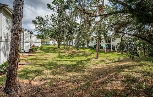 $1,900 | 416 Meadow Lane, Unit 416, Oldsmar, FL 34677