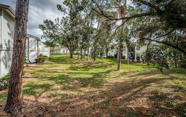 416 Meadow Lane, Unit 416 Oldsmar, FL 34677 - Photo 38 of 48