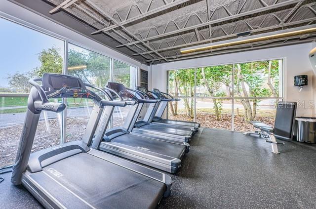 416 Meadow Lane, Unit 416 Oldsmar, FL 34677 - Photo 44 of 48