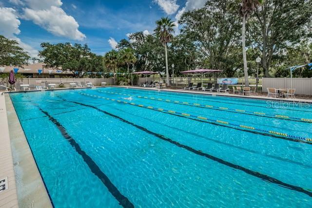 416 Meadow Lane, Unit 416 Oldsmar, FL 34677 - Photo 46 of 48