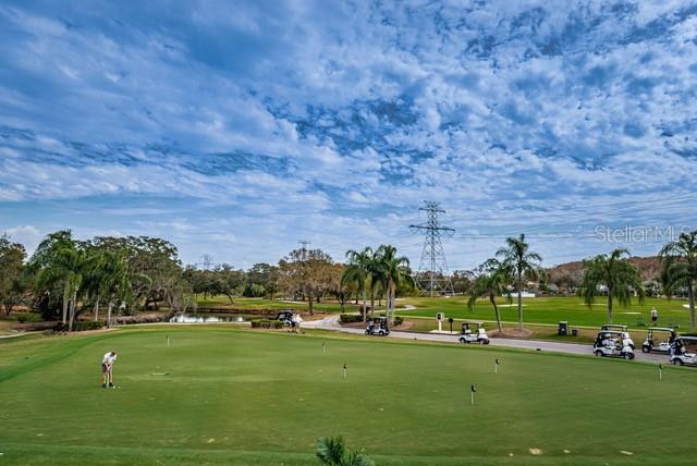 416 Meadow Lane, Unit 416 Oldsmar, FL 34677 - Photo 48 of 48