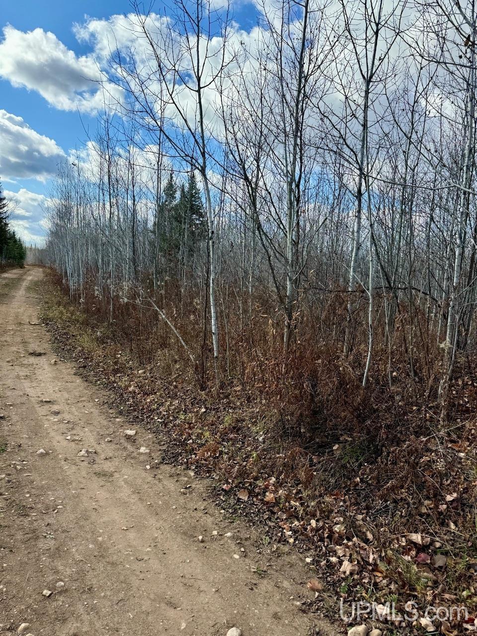 27.5 Rd 52 Ac Trail Gladstone, MI 49837 - Photo 20 of 20