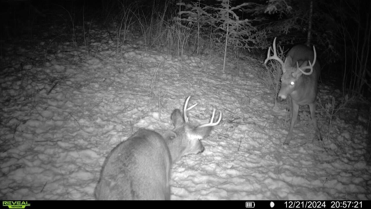 N3547 Cth D Brantwood, WI 54513 - Photo 9 of 37 Gallery Image 9