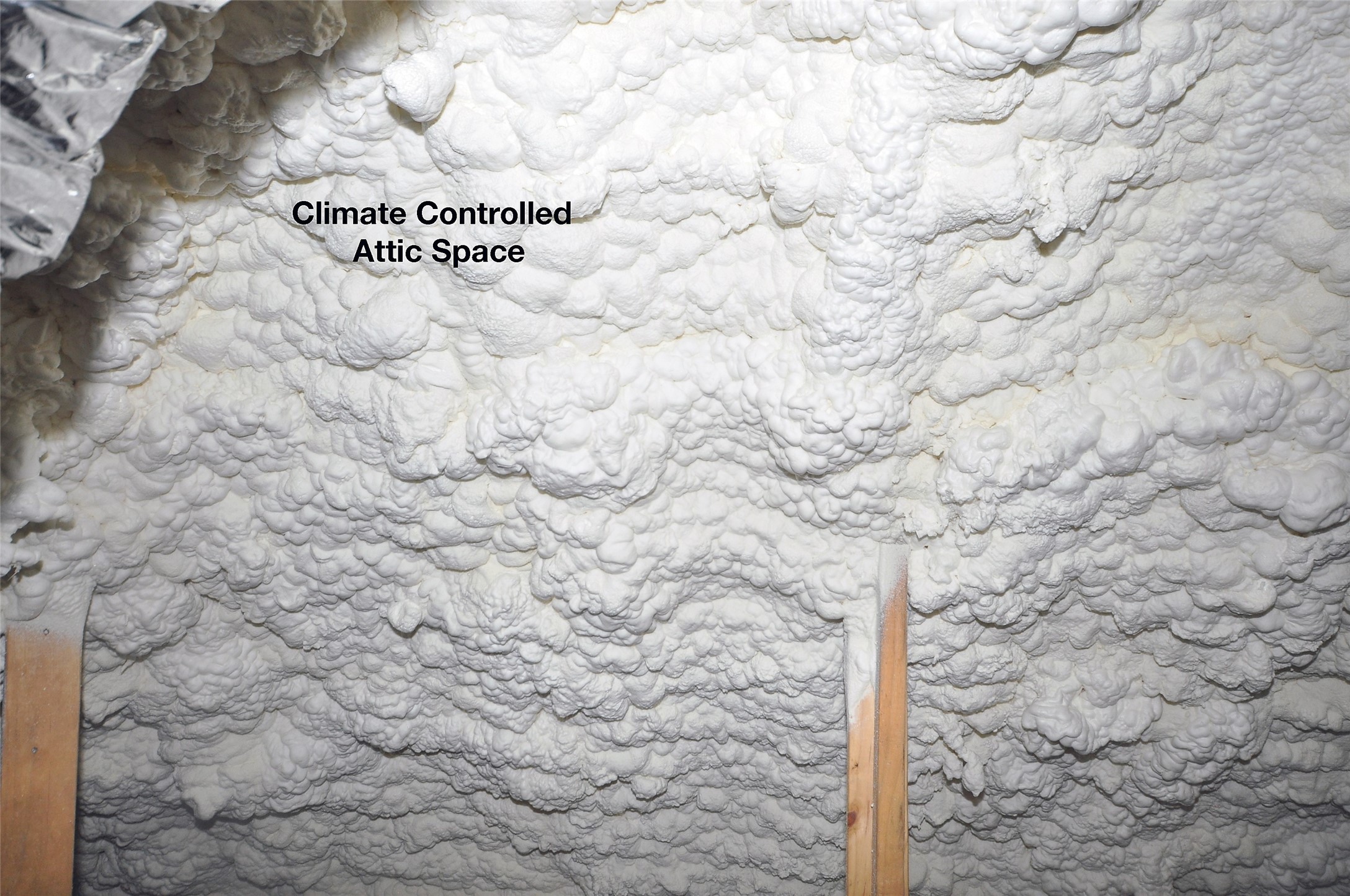 3407 Bahia Road League City, TX 77573 - Photo 28 of 46