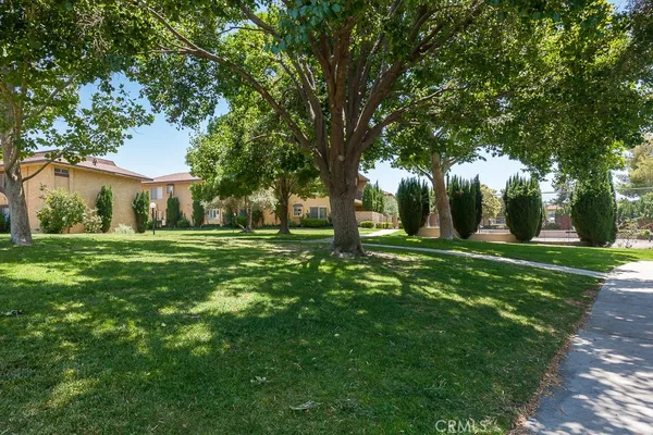 a view of a tree in front of a house