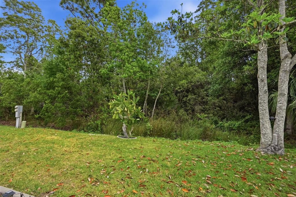 5161 Forest Glenn Drive Spring Hill, FL 34607 - Photo 39 of 51 a view of outdoor space and a yard