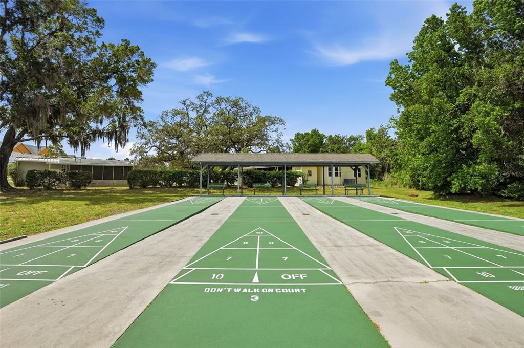 5161 Forest Glenn Drive Spring Hill, FL 34607 - Photo 46 of 51 a view of swimming pool with a yard