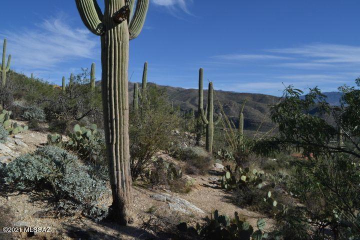 12265 East Coronado Road, Unit 46 Tucson, AZ 85749 - Photo 3 of 41
