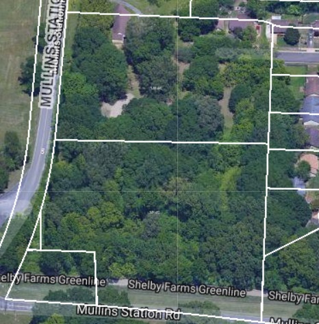 0 Mullins Station Road Memphis, TN 38134 - Photo 3 of 5 a view of a forest