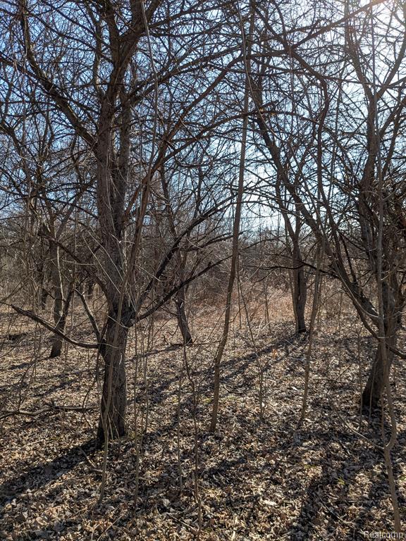 0 Oregon Road Lapeer, MI 48446 - Photo 4 of 7