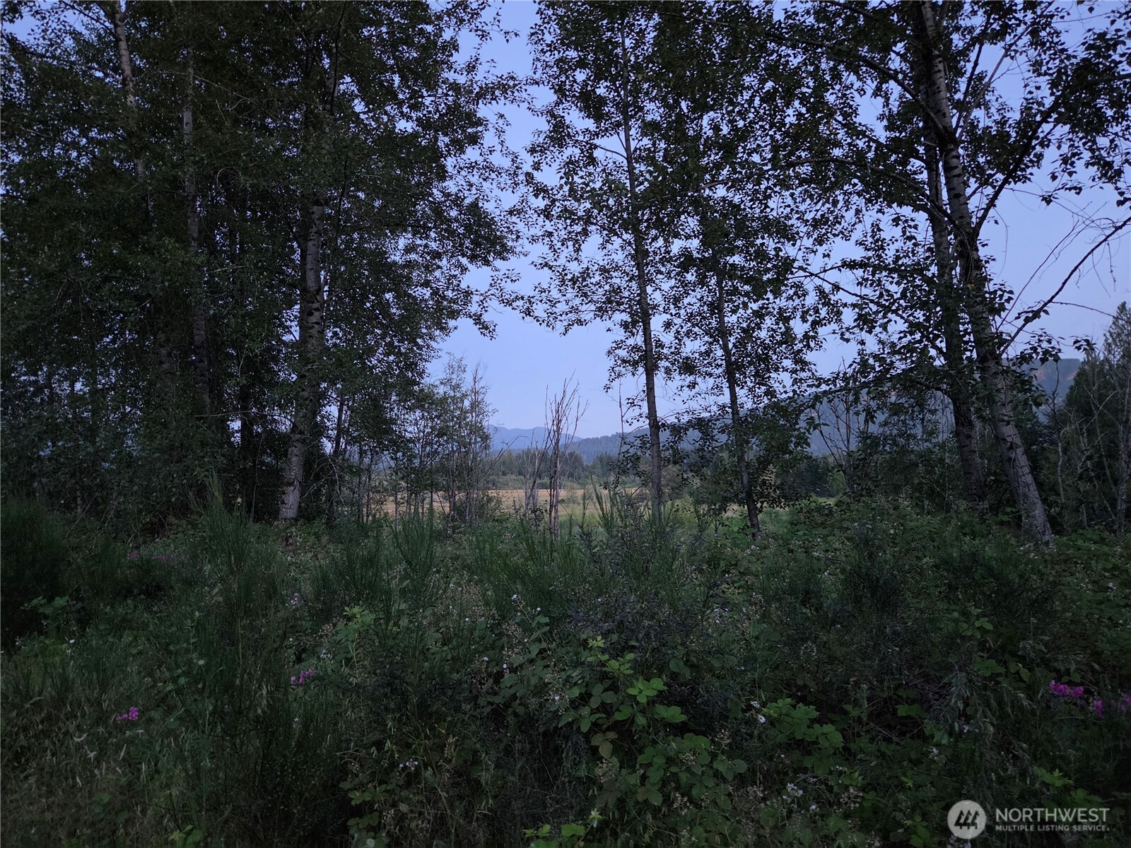 108 Savio Road East Randle, WA 98377 - Photo 25 of 33