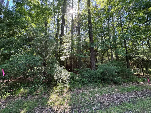 $2,728 | 16 Forrest Hollow, Trinity, TX 75862