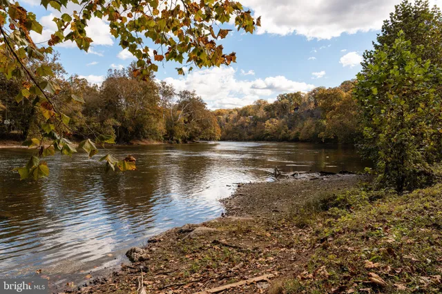 a view of a lake with lots of trees